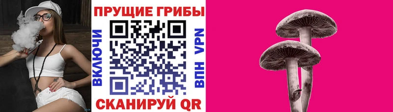 Псилоцибиновые грибы Magic Shrooms  Воткинск 